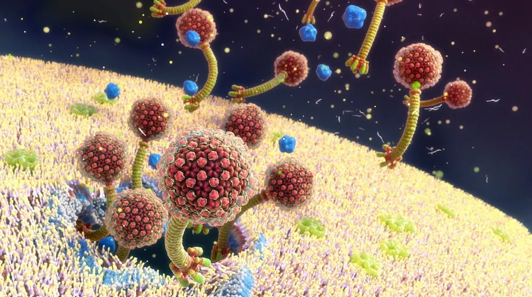 
                                                                                            Bakterielle infektioner: Den usynlige trussel og forsvarsmekanismer
                                            