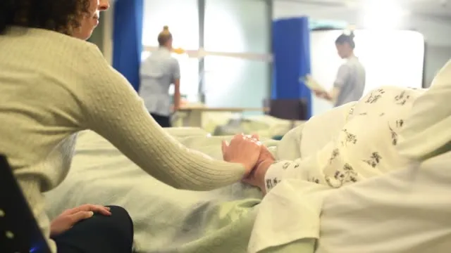 
                                                                                            Türkiye: Healing Journey - Oplev en verden af medicinsk turisme
                                            