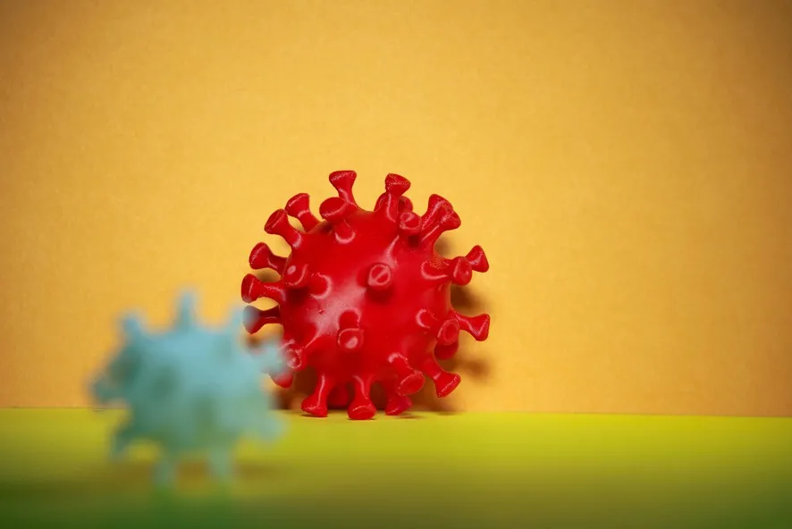 
                                                                                            H5N1-virus: Truslen fra fugle mod mennesker
                                            