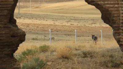 Günlük Uçayak Kilisesi & Bulamaçlı Kaplıca Turu